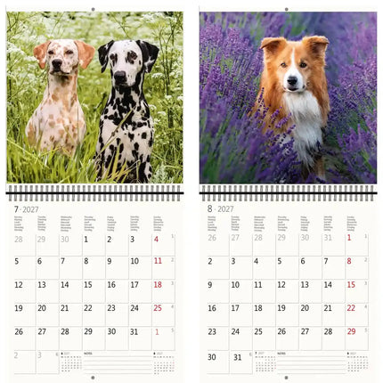 Helma Honden Kalender 2027