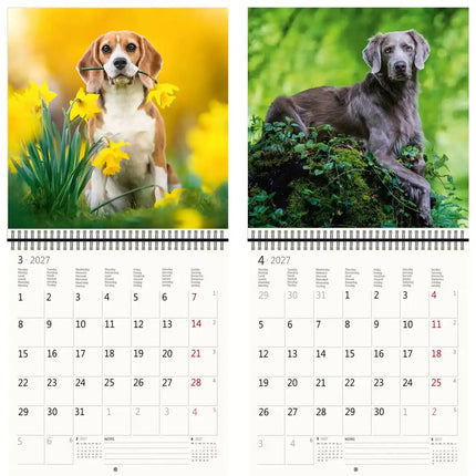 Helma Honden Kalender 2027