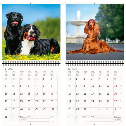 Helma Honden Kalender 2027