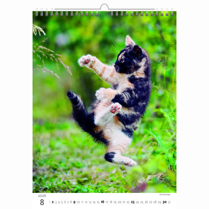Helma Kittens Kalender 2026