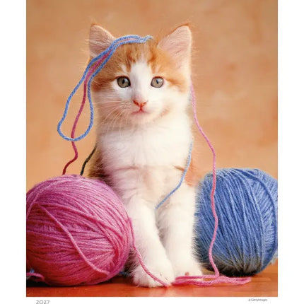 Helma Kittens Kalender 2027