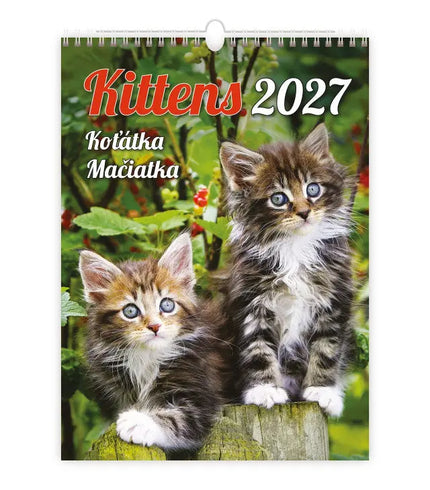 Helma Kittens Kalender 2027