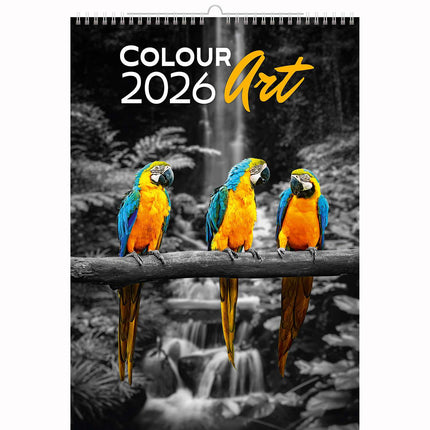 Helma Kleuren Kunst Kalender 2026