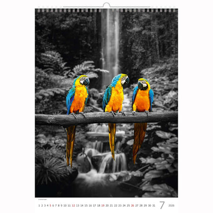 Helma Kleuren Kunst Kalender 2026