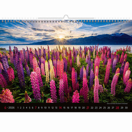 Helma Landschappen Kalender 2027