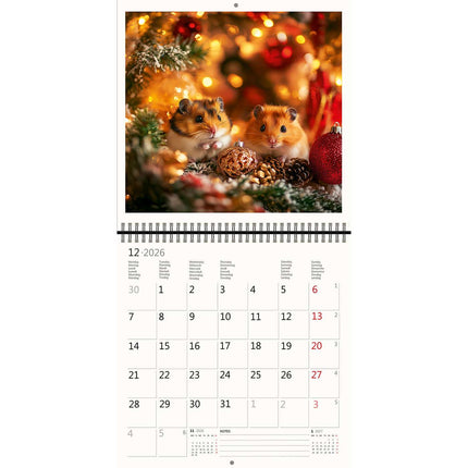 Helma Little Fun Kalender 2026