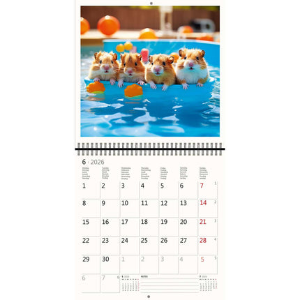 Helma Little Fun Kalender 2026