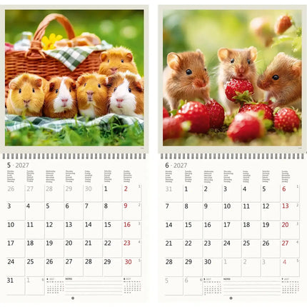 Helma Little Fun Kalender 2027