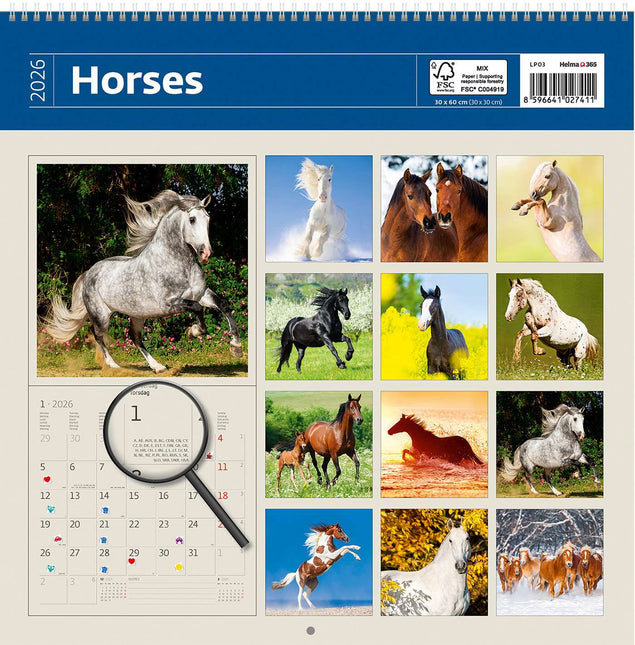 Helma Paarden Kalender 2026