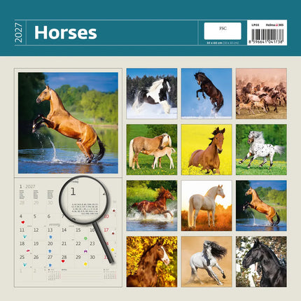 Helma Paarden Kalender 2027