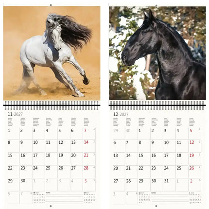 Helma Paarden Kalender 2027
