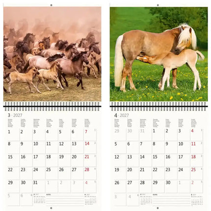 Helma Paarden Kalender 2027
