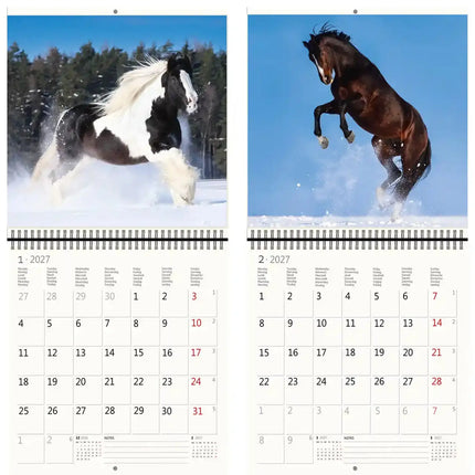 Helma Paarden Kalender 2027