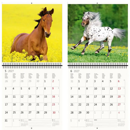 Helma Paarden Kalender 2027