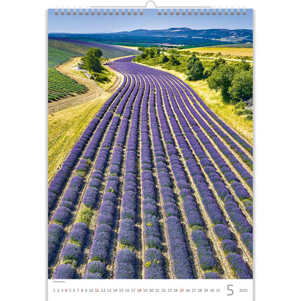 Helma Provence Kalender 2025