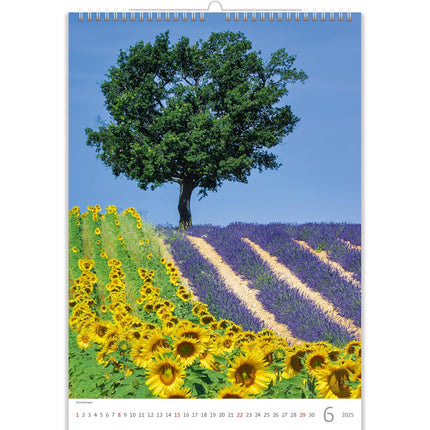 Helma Provence Kalender 2025