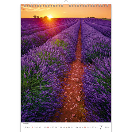Helma Provence Kalender 2025