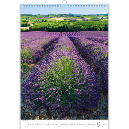 Helma Provence Kalender 2025