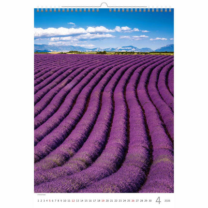 Helma Provence Kalender 2027