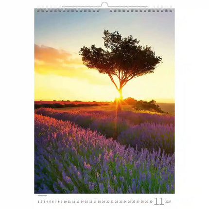 Helma Provence Kalender 2027