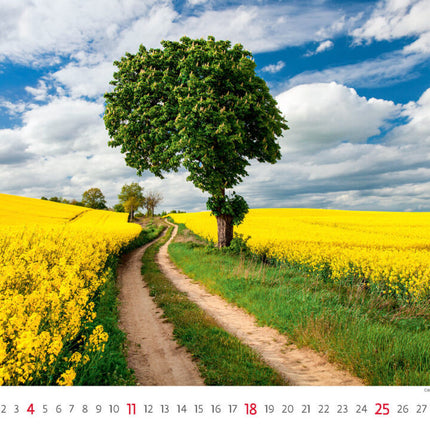 Helma Via Kalender 2025
