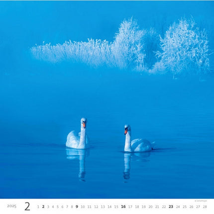 Helma Wandkalender 2025 Aqua