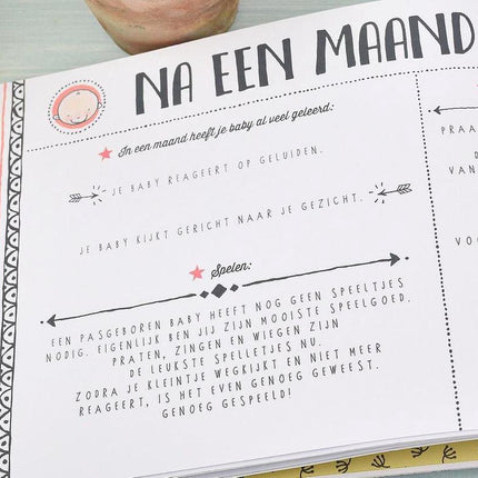 Inter-Stat Baby's Eerste Jaar Dagboek By Pauline