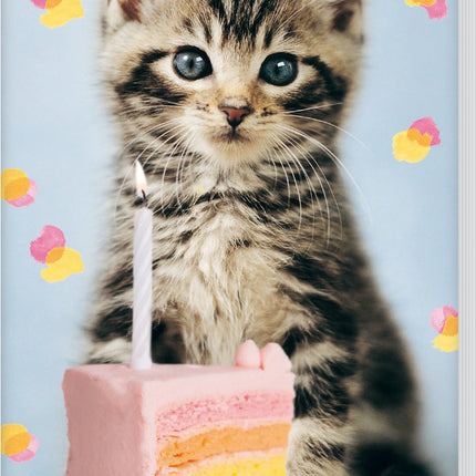 Inter-Stat Kittens Rachel Hale Verjaardagskalender