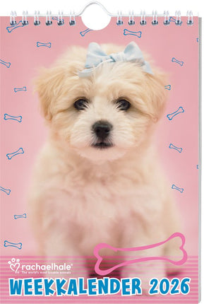 Inter-Stat Rachael Hale Honden Weekkalender 2027