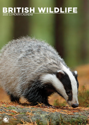 kalenderwinkel British Wildlife A3 Kalender 2025