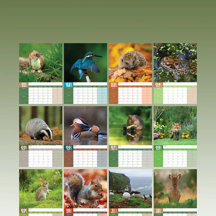 kalenderwinkel British Wildlife A3 Kalender 2025