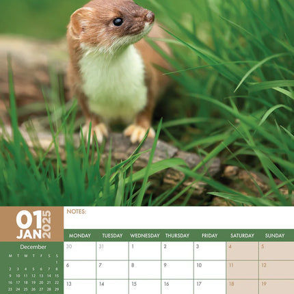 kalenderwinkel British Wildlife A3 Kalender 2025