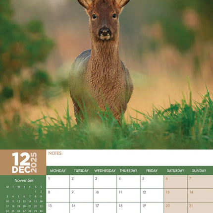kalenderwinkel British Wildlife A3 Kalender 2025