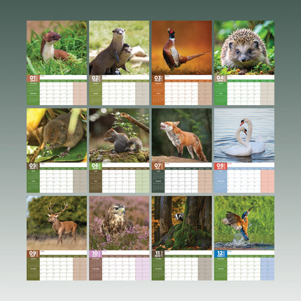 kalenderwinkel British Wildlife A3 Kalender 2026