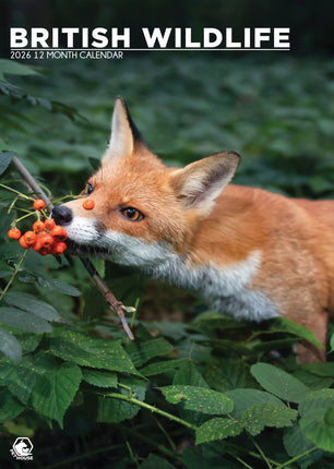 kalenderwinkel British Wildlife A3 Kalender 2026