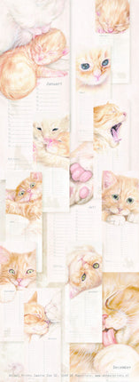 kalenderwinkel Katten Verjaardagskalender