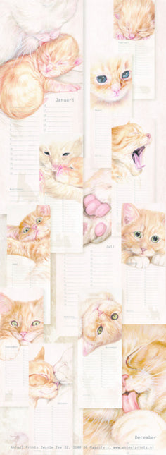 kalenderwinkel Katten Verjaardagskalender