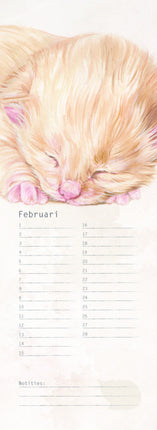 kalenderwinkel Katten Verjaardagskalender