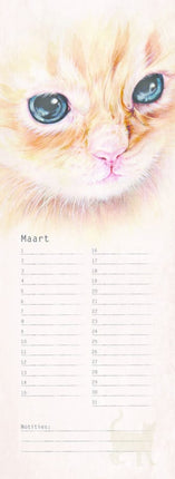 kalenderwinkel Katten Verjaardagskalender