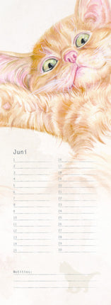 kalenderwinkel Katten Verjaardagskalender