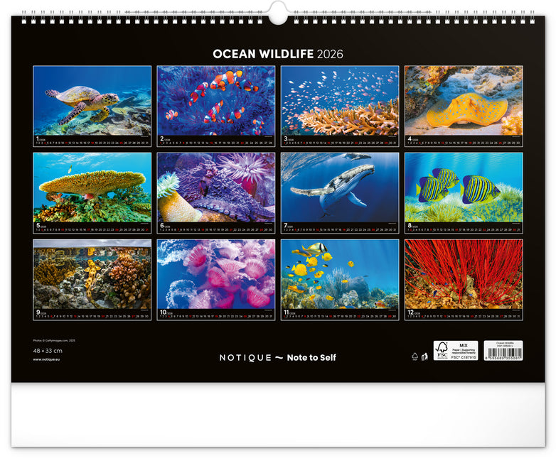 kalenderwinkel Ocean Wildlife Groot Kalender 2026