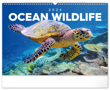 kalenderwinkel Ocean Wildlife Groot Kalender 2026