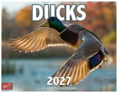 KingCompany Ducks Kalender 2027