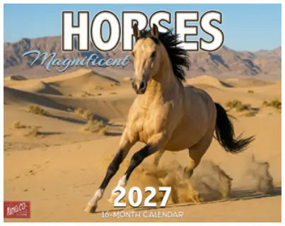KingCompany Horses Kalender 2027