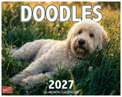 KingCompany Labradoodle Kalender 2027