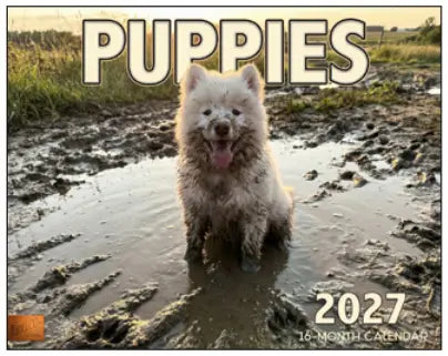 KingCompany Puppies Kalender 2027