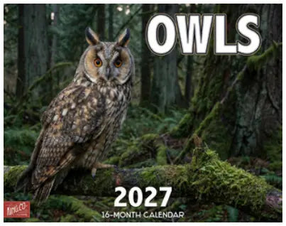 KingCompany Uilen Kalender 2027