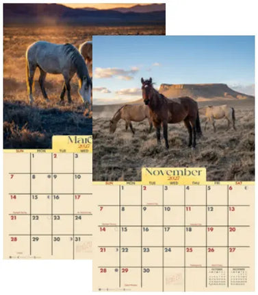 KingCompany Wilde Paarden Kalender 2027
