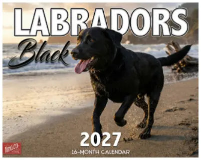 KingCompany Zwarte Labrador Retriever Kalender 2027