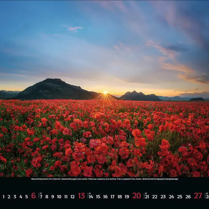 Korsch Verlag Colourful Seasons Kalender 2027